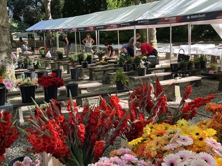 BLOEMTAPIJT 2025 WORDT GELEGD IN HET KRUISWEG PARK IN ROERMOND.