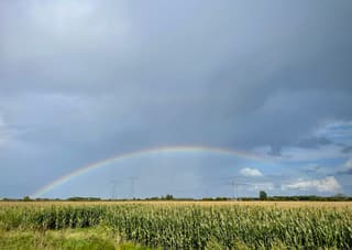 Regenboog