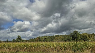 Wolkenlucht met geregeld zon en wind
