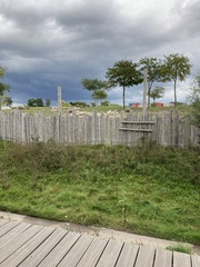 Savanne in wildlands zoo Emmen