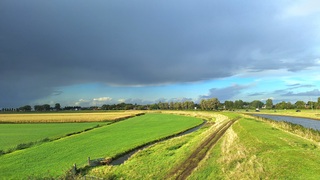 Wisselvallig
