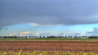Wisselvallig
