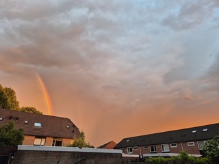 Regenboog