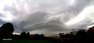 Een beest van een bui