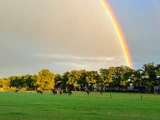 Mooie regenboog !