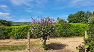 Zon en sluierbewolking in spanje 