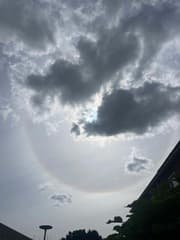 Zonnehalo 