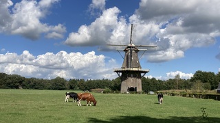 Hollands plaatje