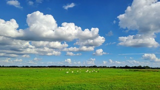 Vanmiddag vriendelijke stapelwolken 
