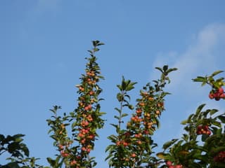 Elke dag heeft mooie momenten.