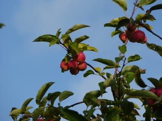 Elke dag heeft mooie momenten.