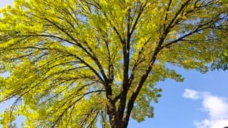 Een zonnige dag, ondanks de stevige wind 