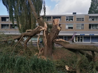 Stormschade