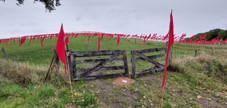 Oproep voor vrede!