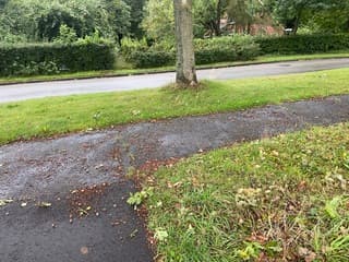 Het wordt weer herfst