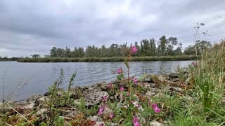 Beetje grijs, weinig zon, 20/21 graden