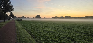 Ochtend mist