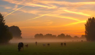Kadootje deze ochtend