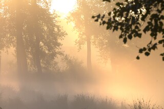 Ochtendlicht