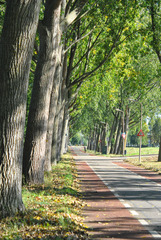 heerlijke dag in Pijnacker 