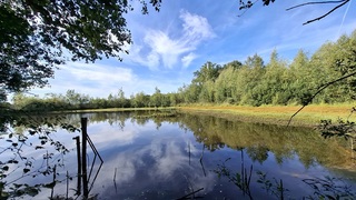 Heerlijke nazomerdag 