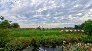 Genieten in de natuur in Friesland, Nijetrijne