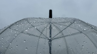 Paraplu weer nodig 