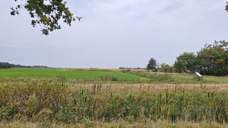 Bewolkt en regenachtig