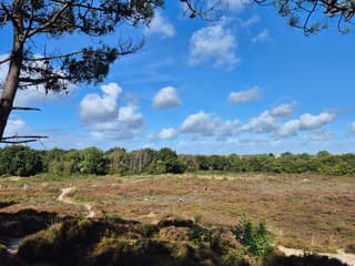 Prachtige Hollandse wolkjes
