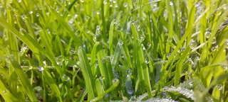 Natuur