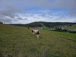 Weerfoto Willingen 22-09-2025