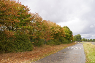 Bewolking