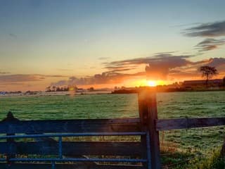 Goedemorgen vanuit watergang!