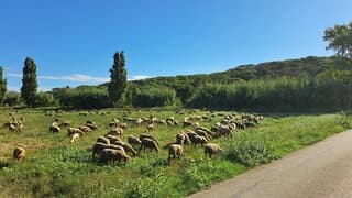 Zonnig in het binnenland van de Costa Brava 