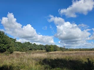 Stapelwolken boven Maasduinen 