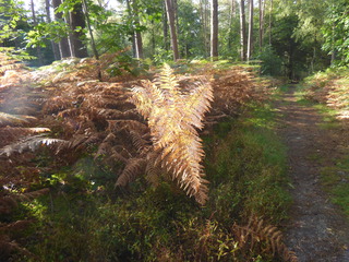 Een prachtige herfstdag. 