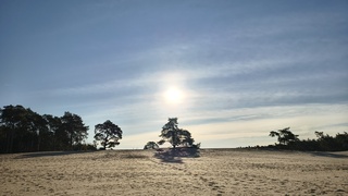 Saharazon