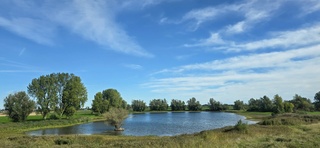 Sluierbewolking