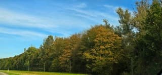 De bomen beginnen al te verkleuren 