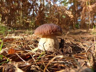 Tip! Ga de bossen in. Heb je ook geen last van de wind.