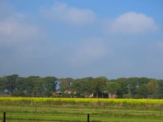 af en toe blauwe lucht en zonnig