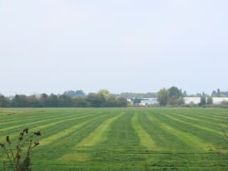 en de boeren verwachten een paar dagen goed weer