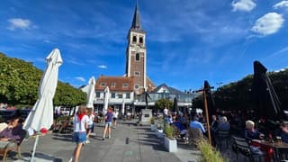 Puurs Begie langs de Schelse