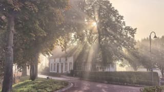 stralende ochtend Heteren