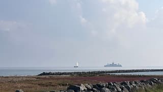 Spiegelglad wad bij Ameland