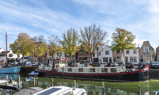 Vallende bladeren en kalende bomen