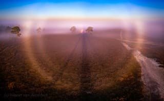 Zonsopkomst met volledige mistboog!