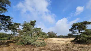 Daar is de zon!