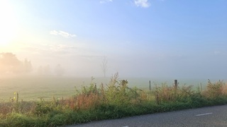Mist in de ochtend 