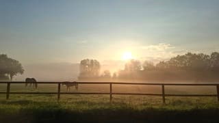 Mist bij de zonsopkomst 